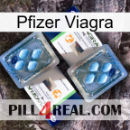 Pfizer Viagra viagra5
